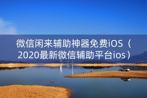 微信闲来辅助神器免费iOS（2020最新微信辅助平台ios）