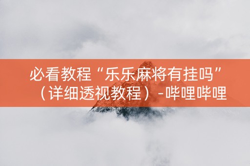 必看教程“乐乐麻将有挂吗”（详细透视教程）-哔哩哔哩