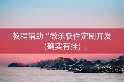 教程辅助“微乐软件定制开发(确实有挂)