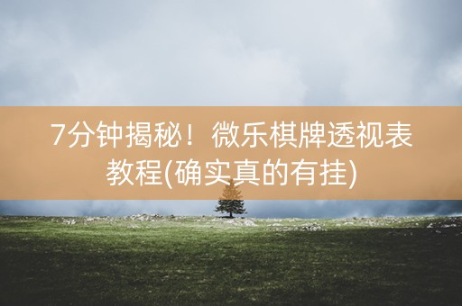 7分钟揭秘！微乐棋牌透视表教程(确实真的有挂)