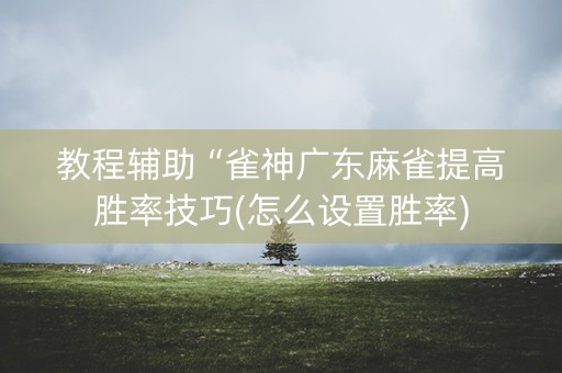 教程辅助“雀神广东麻雀提高胜率技巧(怎么设置胜率)