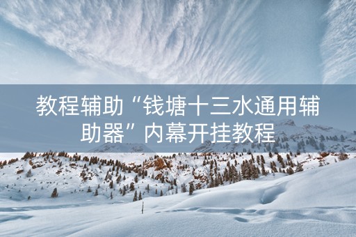 教程辅助“钱塘十三水通用辅助器”内幕开挂教程