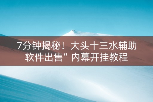 7分钟揭秘！大头十三水辅助软件出售”内幕开挂教程