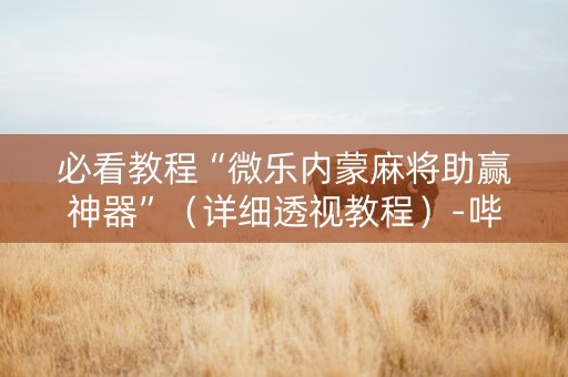 必看教程“微乐内蒙麻将助赢神器”（详细透视教程）-哔哩哔哩