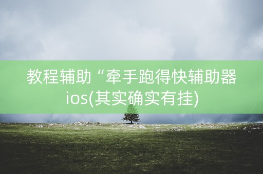 教程辅助“牵手跑得快辅助器ios(其实确实有挂)