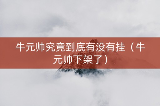 牛元帅究竟到底有没有挂（牛元帅下架了）