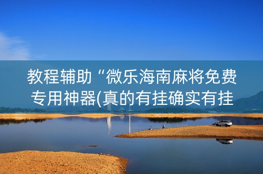 教程辅助“微乐海南麻将免费专用神器(真的有挂确实有挂)