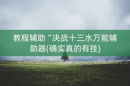 教程辅助“决战十三水万能辅助器(确实真的有挂)