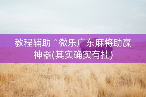 教程辅助“微乐广东麻将助赢神器(其实确实有挂)