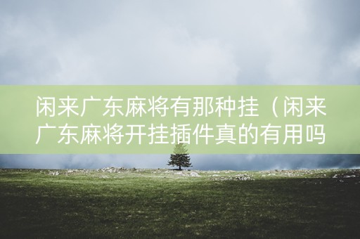 闲来广东麻将有那种挂（闲来广东麻将开挂插件真的有用吗）
