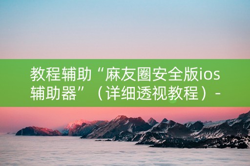 教程辅助“麻友圈安全版ios辅助器”（详细透视教程）-哔哩哔哩