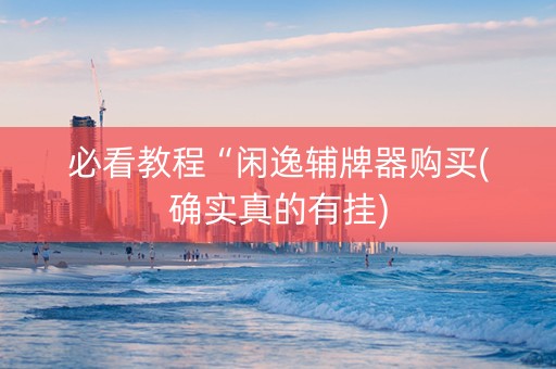 必看教程“闲逸辅牌器购买(确实真的有挂)