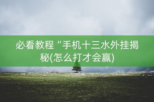 必看教程“手机十三水外挂揭秘(怎么打才会赢)