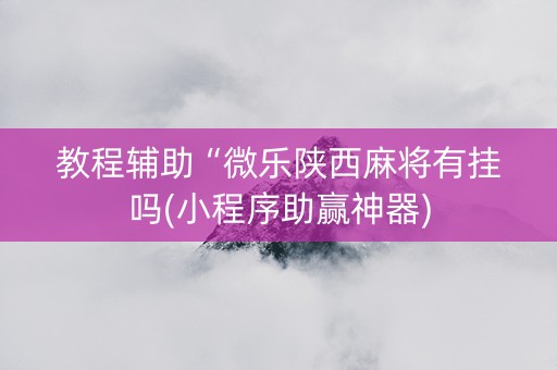 教程辅助“微乐陕西麻将有挂吗(小程序助赢神器)