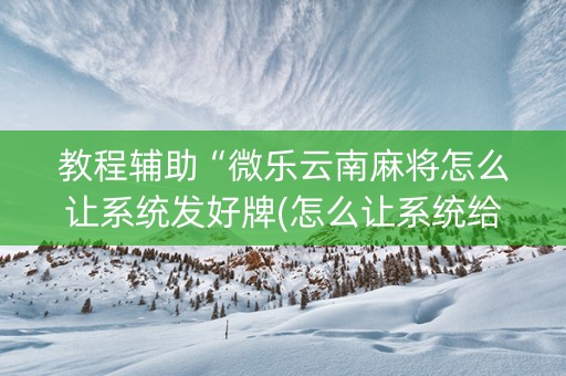 教程辅助“微乐云南麻将怎么让系统发好牌(怎么让系统给发好牌)
