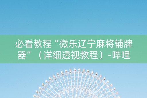 必看教程“微乐辽宁麻将辅牌器”（详细透视教程）-哔哩哔哩