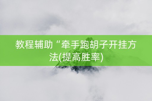 教程辅助“牵手跑胡子开挂方法(提高胜率)