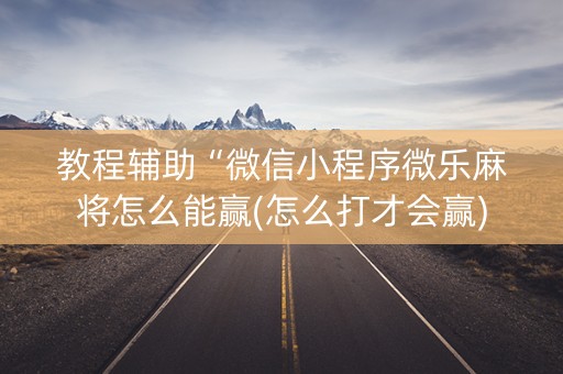 教程辅助“微信小程序微乐麻将怎么能赢(怎么打才会赢)