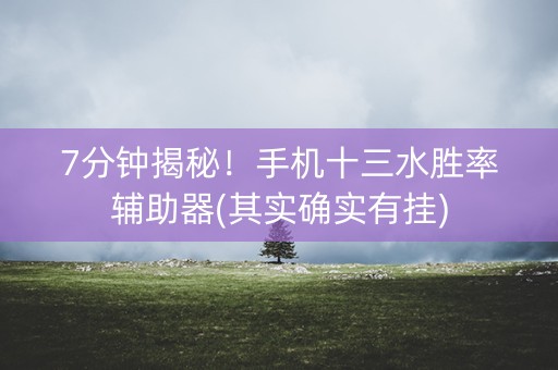 7分钟揭秘！手机十三水胜率辅助器(其实确实有挂)