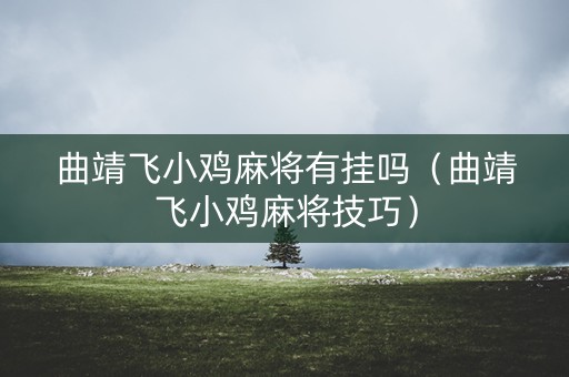 曲靖飞小鸡麻将有挂吗（曲靖飞小鸡麻将技巧）