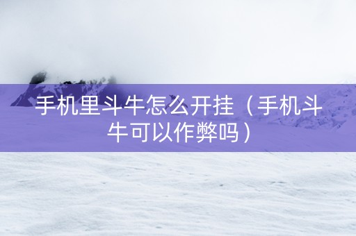 手机里斗牛怎么开挂（手机斗牛可以作弊吗）