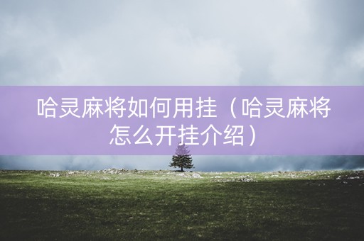 哈灵麻将如何用挂（哈灵麻将怎么开挂介绍）