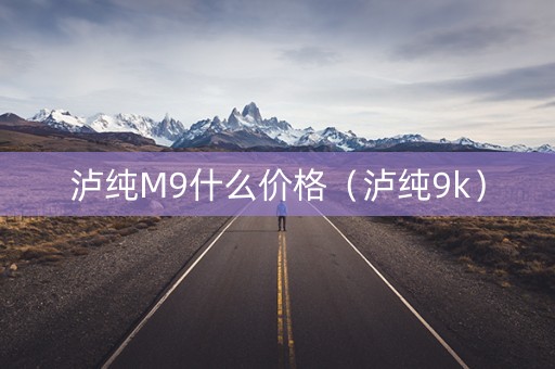 泸纯M9什么价格（泸纯9k）