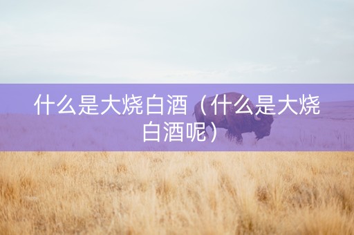 什么是大烧白酒（什么是大烧白酒呢）