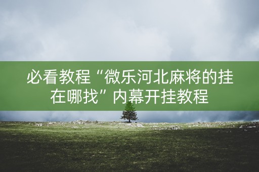必看教程“微乐河北麻将的挂在哪找”内幕开挂教程
