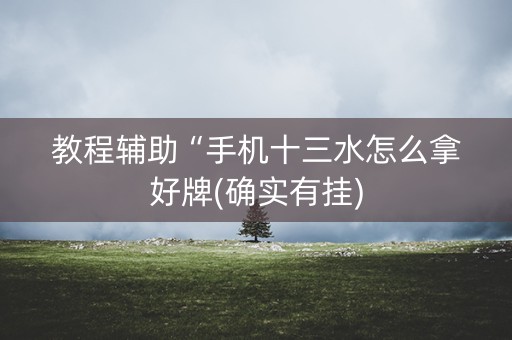 教程辅助“手机十三水怎么拿好牌(确实有挂)