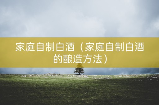 家庭自制白酒（家庭自制白酒的酿造方法）