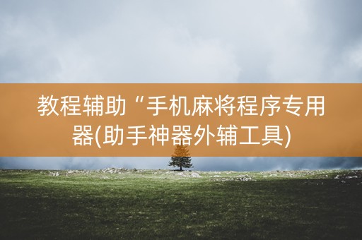 教程辅助“手机麻将程序专用器(助手神器外辅工具)