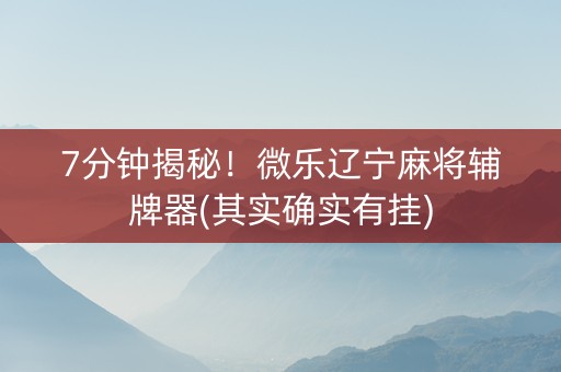 7分钟揭秘！微乐辽宁麻将辅牌器(其实确实有挂)