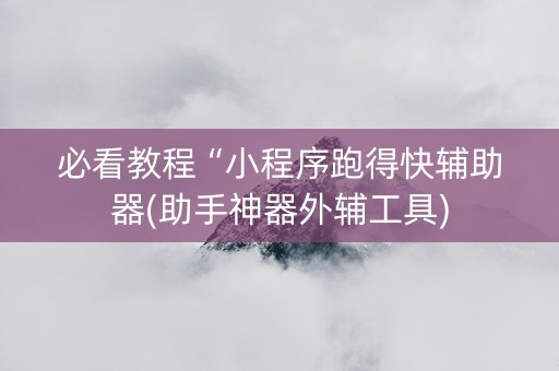 必看教程“小程序跑得快辅助器(助手神器外辅工具)