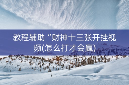 教程辅助“财神十三张开挂视频(怎么打才会赢)