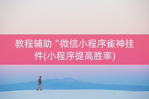 教程辅助“微信小程序雀神挂件(小程序提高胜率)