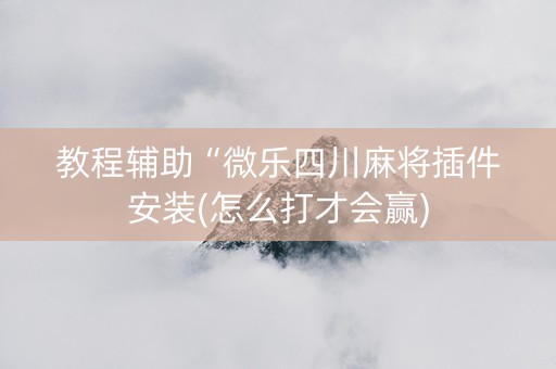 教程辅助“微乐四川麻将插件安装(怎么打才会赢)