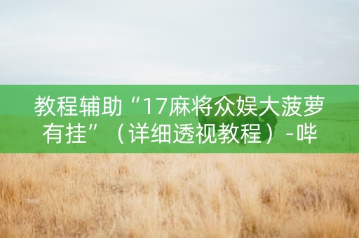 教程辅助“17麻将众娱大菠萝有挂”（详细透视教程）-哔哩哔哩