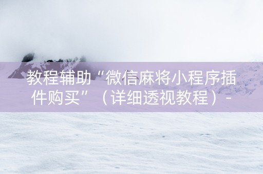 教程辅助“微信麻将小程序插件购买”（详细透视教程）-哔哩哔哩