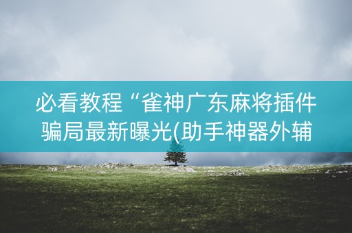 必看教程“雀神广东麻将插件骗局最新曝光(助手神器外辅工具)