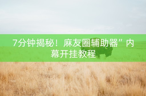7分钟揭秘！麻友圈辅助器”内幕开挂教程