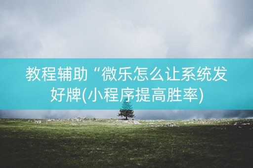 教程辅助“微乐怎么让系统发好牌(小程序提高胜率)