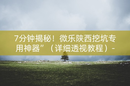 7分钟揭秘！微乐陕西挖坑专用神器”（详细透视教程）-哔哩哔哩