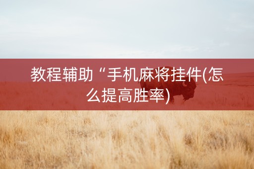 教程辅助“手机麻将挂件(怎么提高胜率)