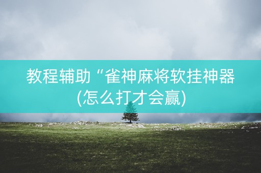 教程辅助“雀神麻将软挂神器(怎么打才会赢)