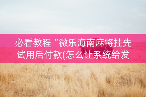 必看教程“微乐海南麻将挂先试用后付款(怎么让系统给发好牌)