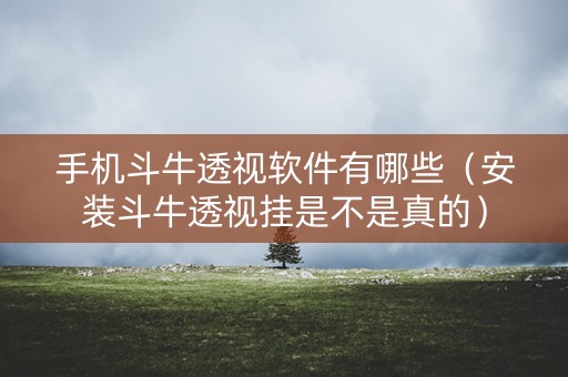 手机斗牛透视软件有哪些（安装斗牛透视挂是不是真的）