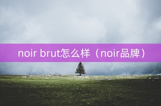 noir brut怎么样（noir品牌）