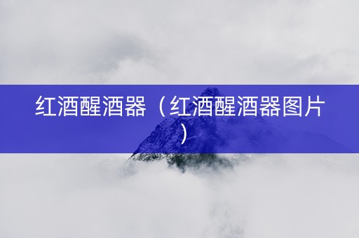 红酒醒酒器（红酒醒酒器图片）