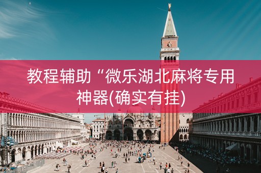 教程辅助“微乐湖北麻将专用神器(确实有挂)